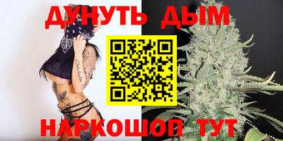 МДПВ Кингисепп