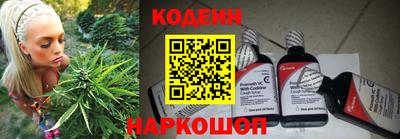 МДПВ Кингисепп