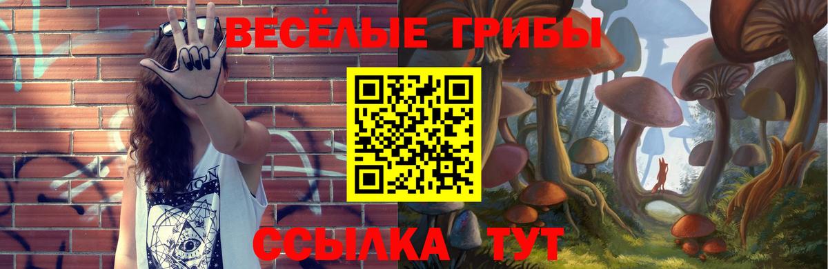 Галлюциногенные грибы Cubensis Находка